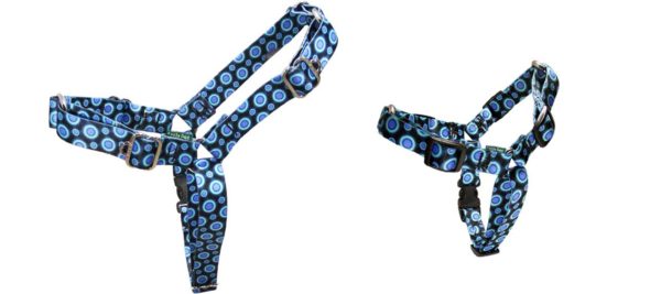 Ecoweave Front Leading Harness Blue From Cycle Dog