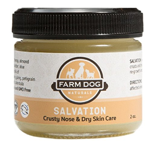 Farm Dog Naturals - Salvation Skin Care & Crusty Nose Balm for Dogs-1682