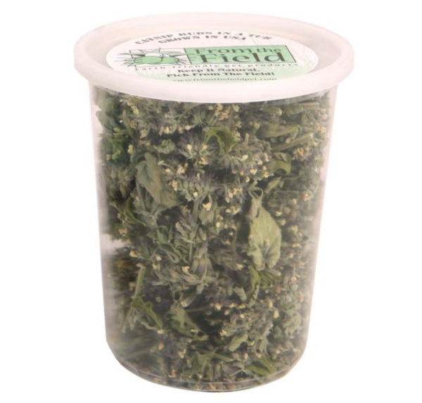 FROM THE FIELD ORGANIC ALL NATURAL CATNIP BUDS IN A TUB AMERICA GROWN DRIED