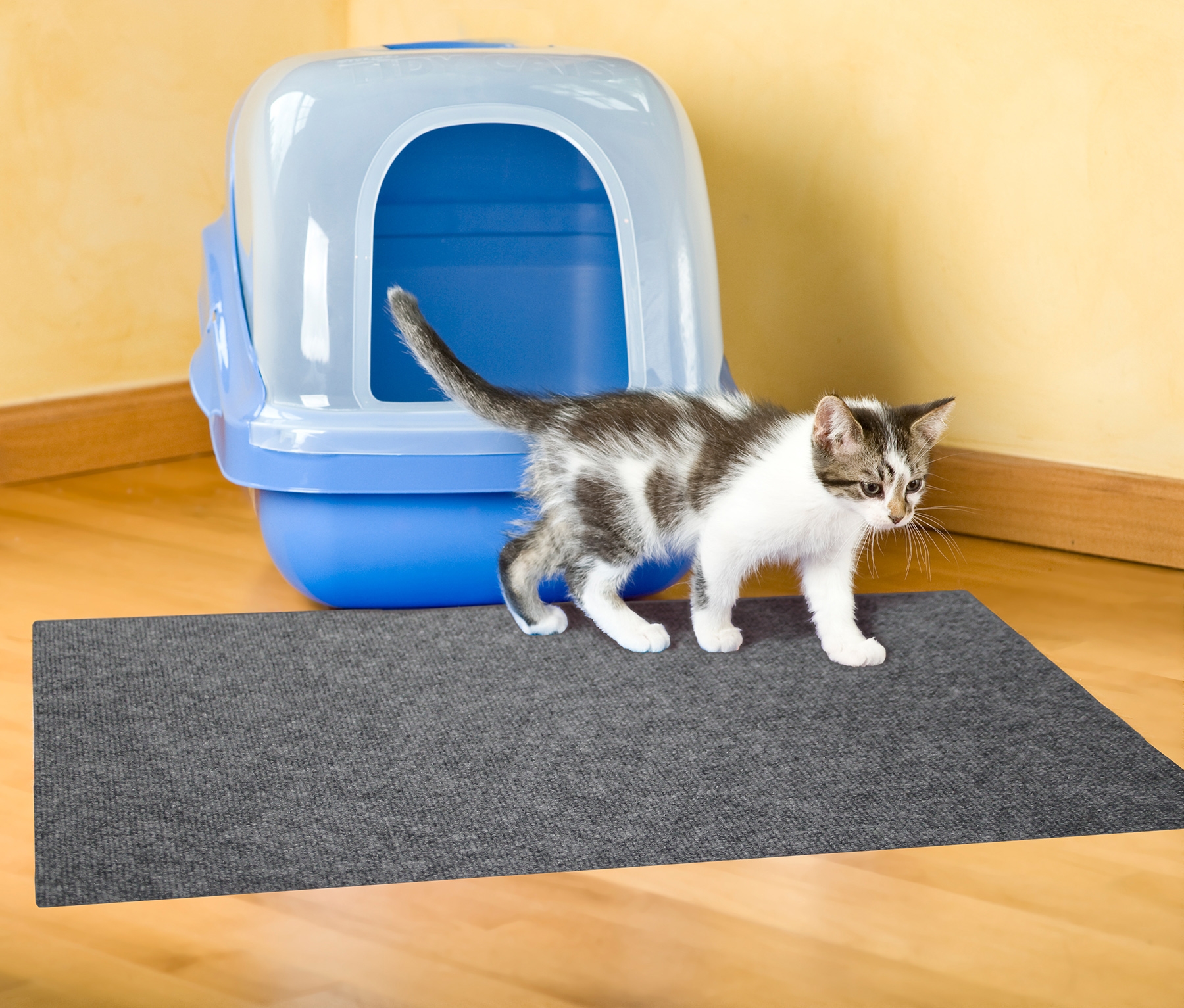https://www.ecodogsandcats.com/wp-content/uploads/2019/10/clmrf2028c_litter_trapping_mat_in_use.jpg