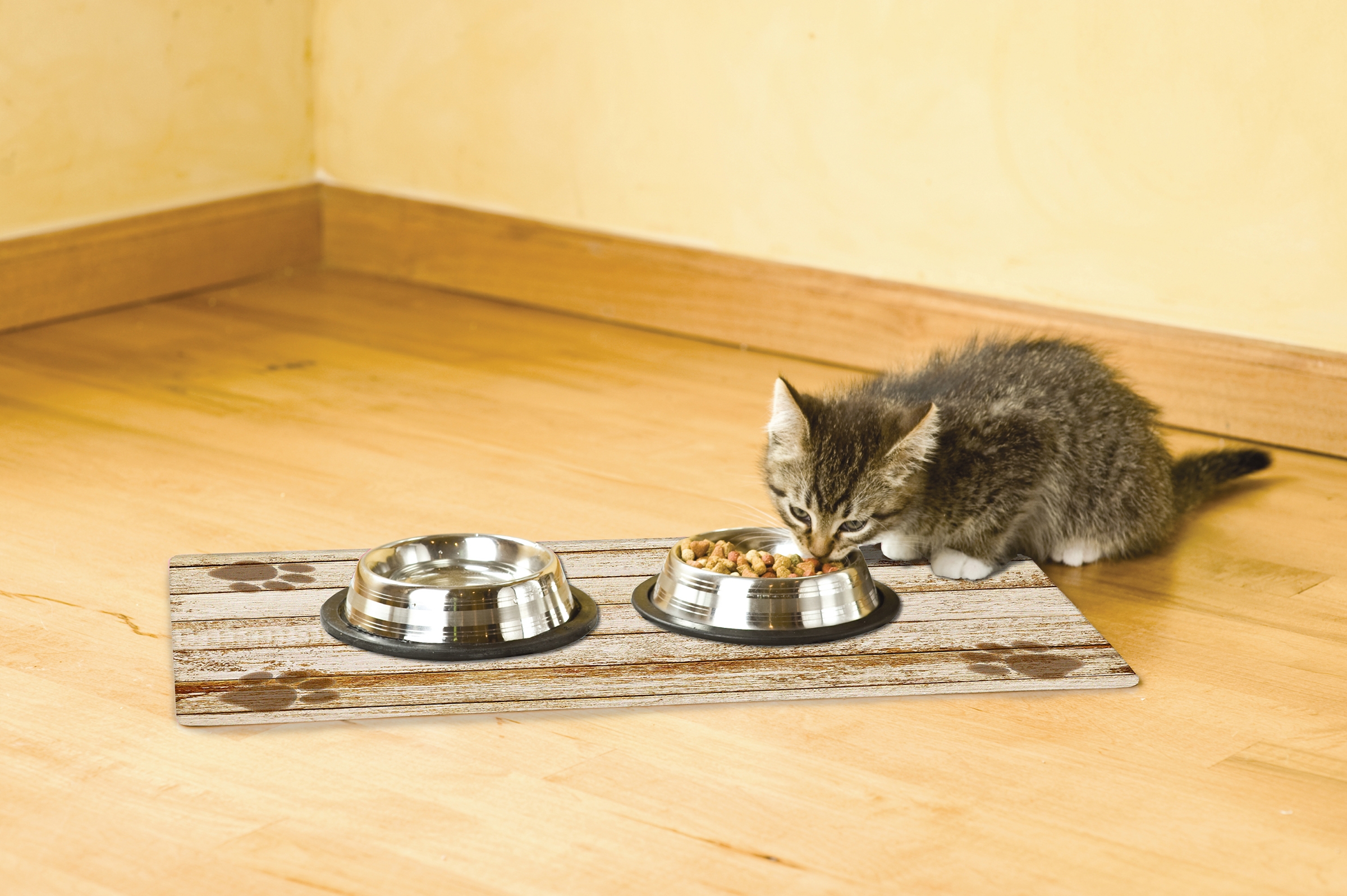 https://www.ecodogsandcats.com/wp-content/uploads/2019/10/ppt1220dw_tan_distressed_wood_placemat_in_use_cat.jpg